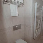 Fan Konukevi 3*